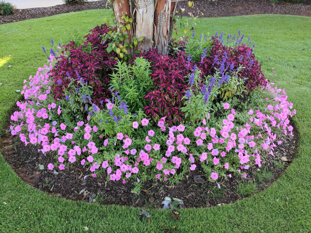 garden maintenance Brisbane QLD